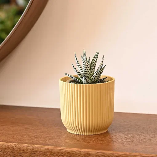 حوض بلاستيك دائري مخطط اصفر فاتح 9 سم