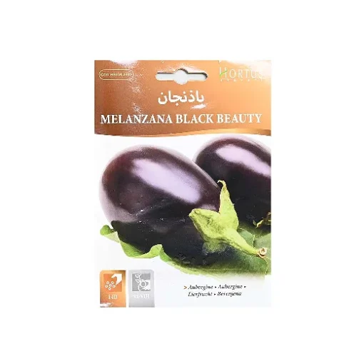 بذور باذنجان