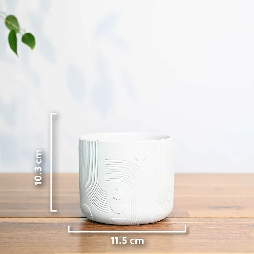 أصيص سيراميك ابيض 11.5سم